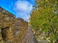 Exploring ancient wall