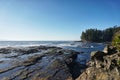 Exploring beautiful tide pools on the west coast