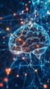 Exploring the brain s complex neural connections and their role in human functionality