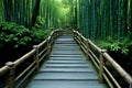 Exploring the captivating splendor of a magical bamboo forest trail. Journey into tranquility. Royalty Free Stock Photo