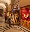 Exploring cave at Nature History Museum