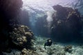 Scuba diving and exploring the coral reefs in the southern Red Sea of Egypt Royalty Free Stock Photo