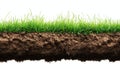 Exploring The Characteristics Of Grass And Soil In A Profile Analysis Royalty Free Stock Photo
