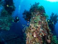 Exploring the coral reefs and wrecks around Tulamben on the island of Bali, Indonesia Royalty Free Stock Photo