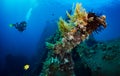 Exploring the coral reefs and wrecks around Tulamben on the island of Bali, Indonesia Royalty Free Stock Photo