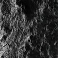 Exploring dark fur texture, a close-up view