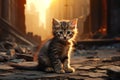 Exploring the eerie streets of a deserted city at night, an adorable little kitten roams curiously Royalty Free Stock Photo