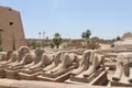 Ancient egyptian temple. Hieroglyphics, ancient symbols, sculptures of pharaohs. Egyptian landmark. Luxor temple, Egypt