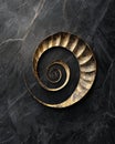 Exploring the Elegant Spiral Object on a Striking Black Marble Surface Showcasing Unique Patterns and Textures Royalty Free Stock Photo