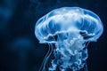 Exploring enigmatic depths unveiling the hidden wonders of the deep sea through captivating images