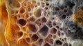 Exploring the fascinating details of cells with unique patterns showcasing natural organic structures and colors in a