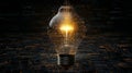 Exploring the Fusion of Innovation and Imagination in Technology: The Light Bulb as a Symbol of Creativity and Knowledge Royalty Free Stock Photo
