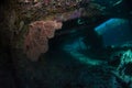 Exploring the Hidden Mysteries: Diver Among Coral-Covered Shipwreck