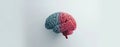 Exploring Human Brain Structure