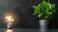 Exploring the Intersection of Nature and Technology: The Plant in a Pot as a Symbol of Knowledge and Creativity in Modern Royalty Free Stock Photo