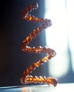 Exploring the Intricacies of DNA Parentage Testing Through Captivating Spiral Visuals Royalty Free Stock Photo