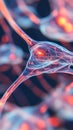 Exploring the intricate networks of neural pathways in the human brain