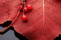 Exploring intriguing abstract patterns in nature s designs for inspiration and wonder