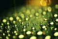 Exploring macro and microscopic patterns in nature and science for enhanced understanding