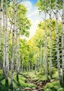 Exploring the Majestic Aspen Grove: A Grand Scale Oil Painting o