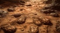 Exploring Mars Uncovered: First Man\'s Footprints in Red Soil