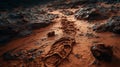 Human Footprints on Martian Surface: Close-up Photoshoot with Sony A9