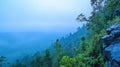 Exploring Misty Forest Landscape View From Cliff Edge with Lush Greenery Royalty Free Stock Photo