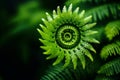 Exploring natural abstract patterns an examination of organic forms and symmetry in the environment