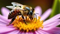 Exploring nature: the bee and the flowering world. Generated by AI. Royalty Free Stock Photo