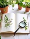 Exploring nature's creativity through herbarium Royalty Free Stock Photo