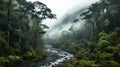 Exploring Nature\'s Wonderland: Lush Rainforest and Foggy Rainforest River Pathway, Generative AI