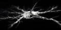 Exploring Neural Changes in the Brain Through Close-Up Images of Firing Neurons During Mindfulness