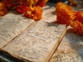 Exploring personal reflections with handwriting, doodles, and pressed flowers in an open journal