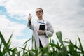 Exploring a reclaimed field, agriculture business concept, Lifestyle farmer inspecting wheat harvest, biologist in a field with