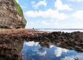 Exploring rock pools on coral shelf on tropical Niue Royalty Free Stock Photo