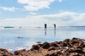 Exploring rock pools on coral shelf on tropical Niue Royalty Free Stock Photo