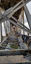 Abandoned bridge in Keywest