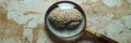 Exploring transparency in artificial intelligence with a magnifying glass over a detailed AI brain model