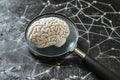 Exploring transparency and oversight in artificial intelligence through a magnified brain and network design