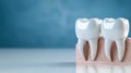 Exploring the Unique and Intriguing Concept of a Tooth Sitting on Top of Another Tooth and Its Implications for Dental Royalty Free Stock Photo