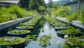 Exploring water conservation in microfactory with closedloop wastewater system and rainwater