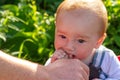 Baby boy chewing on his fathers thumb in the sunshine Royalty Free Stock Photo