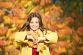 Exploring the world. walking in park. trendy girl in autumn coat. weather forecast. fallen leaves in forest. autumn Royalty Free Stock Photo