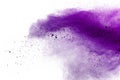 Explosion of colored powder on white background.Purple and pink dust splash Royalty Free Stock Photo