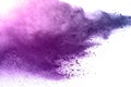 Explosion of colored powder on white background.Purple and pink dust splash Royalty Free Stock Photo