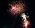 Explosion colorful fireworks on party nights Royalty Free Stock Photo