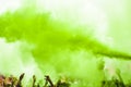 explosion green holi color crowd. High quality photo