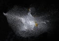 Explosion of a water-filled balloon on a black background, high speed photography, refreshing explosion