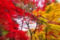 Explosion zoom of autumn leaf colors Royalty Free Stock Photo