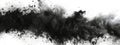 Explosive Burst of Charcoal Powder on White Background.